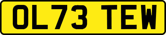 OL73TEW