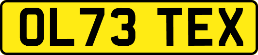 OL73TEX