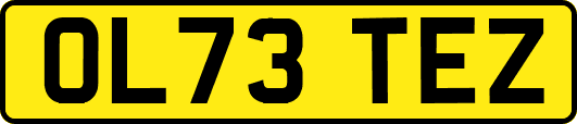 OL73TEZ