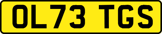 OL73TGS