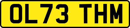 OL73THM