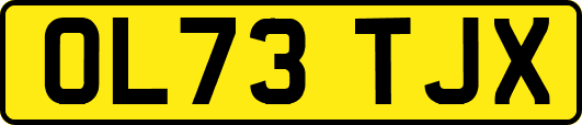 OL73TJX