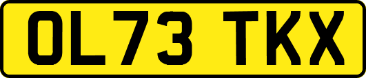 OL73TKX