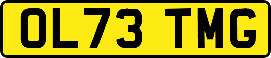 OL73TMG