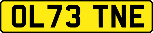 OL73TNE