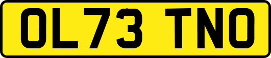 OL73TNO
