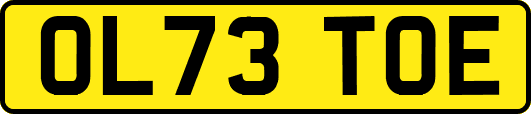 OL73TOE