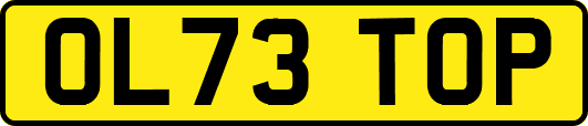 OL73TOP