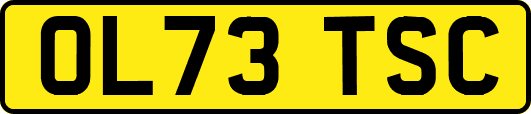OL73TSC