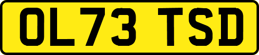OL73TSD