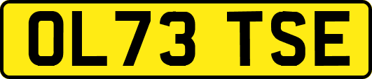 OL73TSE