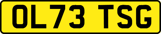 OL73TSG