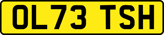 OL73TSH