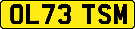 OL73TSM