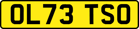 OL73TSO