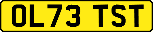 OL73TST