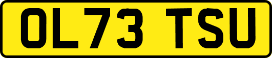 OL73TSU
