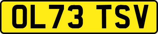 OL73TSV
