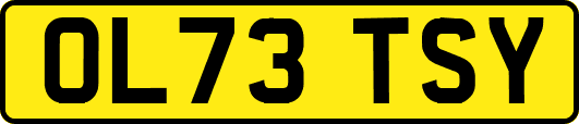OL73TSY