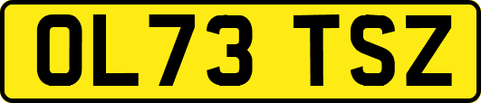 OL73TSZ