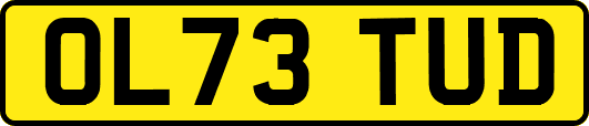 OL73TUD
