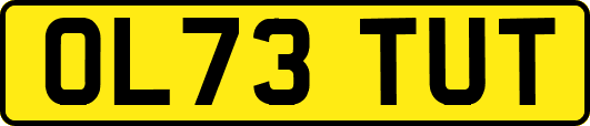 OL73TUT