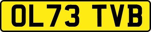 OL73TVB