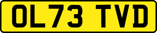 OL73TVD