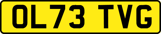 OL73TVG