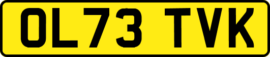 OL73TVK