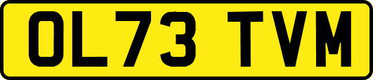 OL73TVM