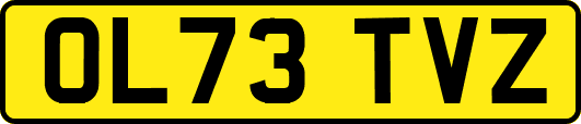 OL73TVZ