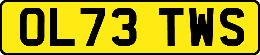 OL73TWS