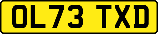 OL73TXD