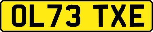 OL73TXE
