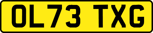 OL73TXG