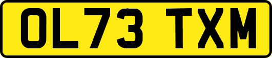 OL73TXM