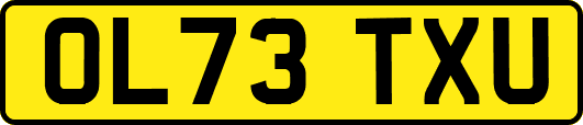 OL73TXU