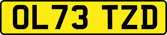 OL73TZD