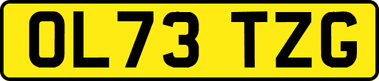 OL73TZG
