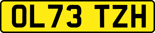 OL73TZH