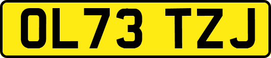 OL73TZJ