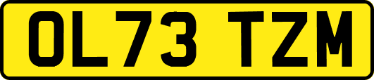 OL73TZM