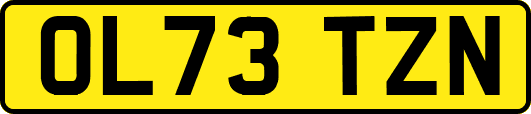 OL73TZN