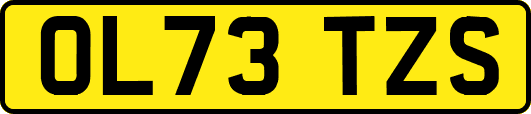 OL73TZS
