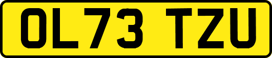 OL73TZU