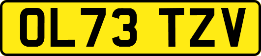 OL73TZV