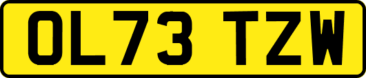 OL73TZW