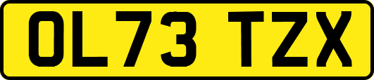 OL73TZX