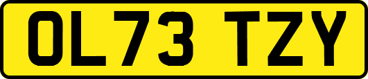 OL73TZY